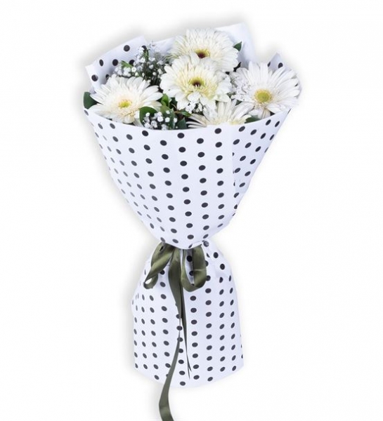 beyaz gerbera çiçeği